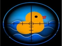 Duck shoot