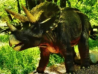 Triceratops dinosaur puzzle