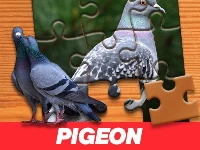 Pigeon jigsaw puzzle