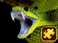 Snake puzzle challenge