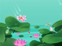 Lotus flowers slide