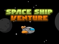 Spaceship venture