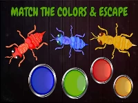 Ants: tap tap color ants