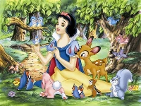 Snow white hidden stars