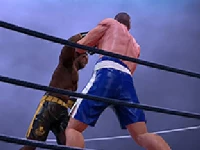 Ultimate boxing