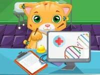 Cat doctor sim