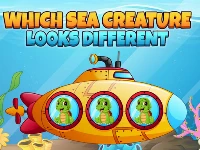 Which sea creature looks different