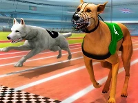 Dogs3d races