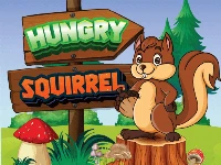 Hungry squirrel