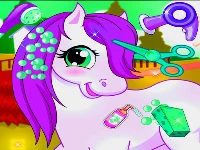 My unicorn pony pet salon