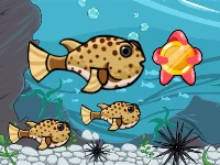 Run fish run