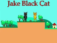 Jake black cat