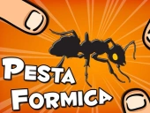 Pesta formica