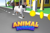 Animal run