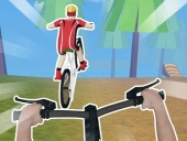 Bicycle rush 3d