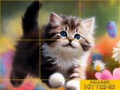 Puzzle sliding   kittens