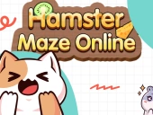 Hamster maze