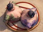 Sumo wrestling battle