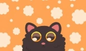 Dusty cat