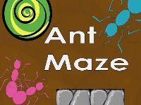 Ant maze