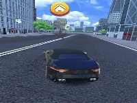 City car driver : street racing game